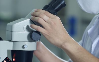 Studi Kasus Keberhasilan Bea Cukai Halim Perdanakusuma dalam Penanganan Barang Terlarang 2025