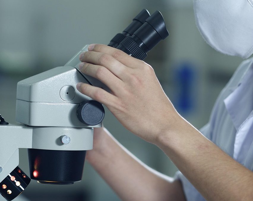 Studi Kasus Keberhasilan Bea Cukai Halim Perdanakusuma dalam Penanganan Barang Terlarang 2025